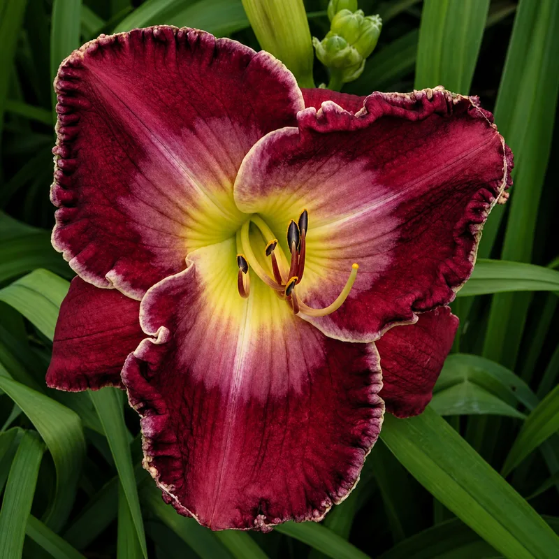 Abundance of Riches