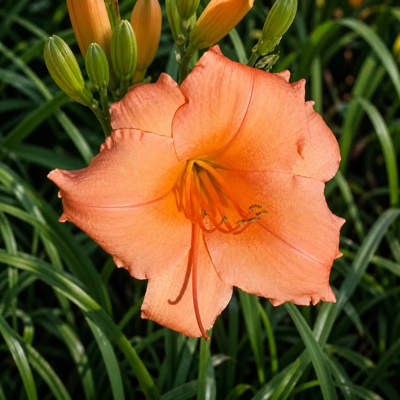 Biding My Time