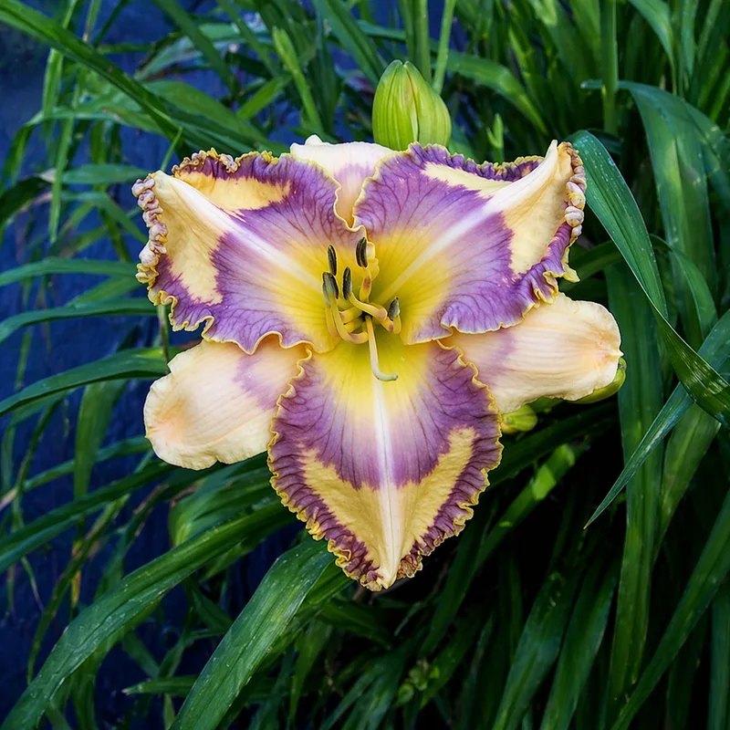 Kaleidoscope Canyon AHS image