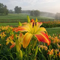 Eminent Domain AHS image