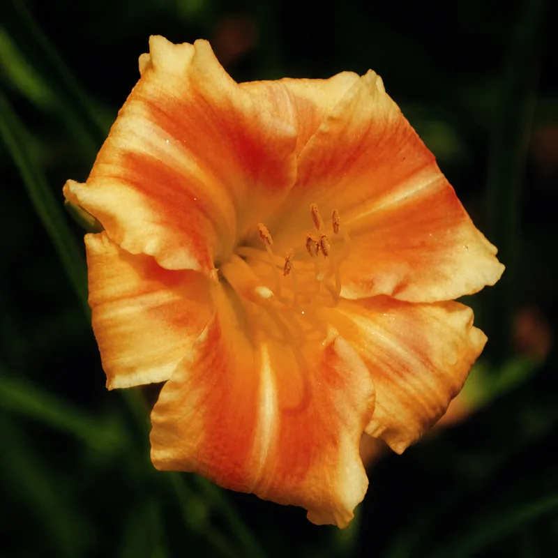 Baerenhoehle