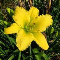 Cletus Clatterback AHS image