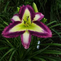 Azure Prism AHS image