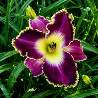 Discontinued or Sold catalog image