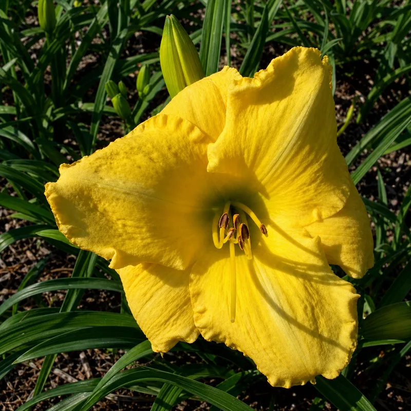 Cortez Cove