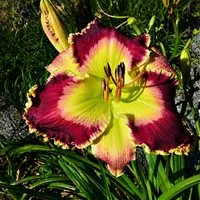 Apple Mountain AHS image