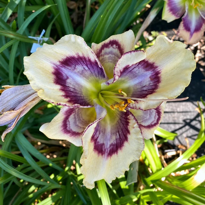 Broken Open