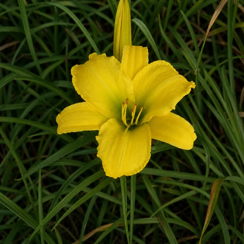 Erin Prairie