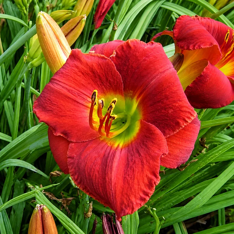 Mighty Pretty