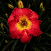 Big Sur AHS image