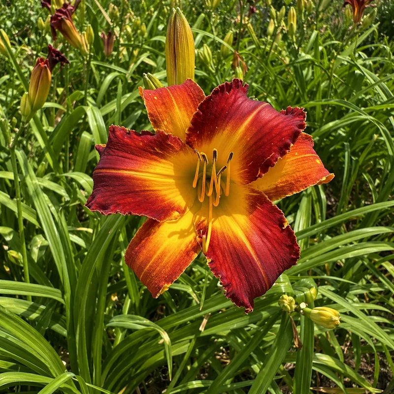 All About Color