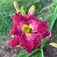 Escape to Paradise thumbnail