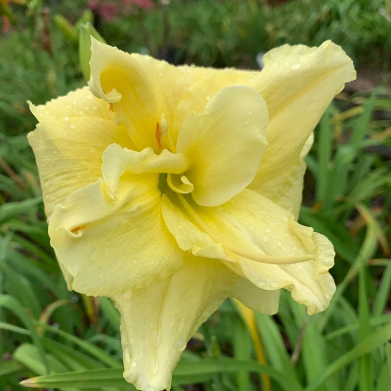 And God Said