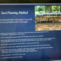 Daylily Seed Planting Method thumbnail