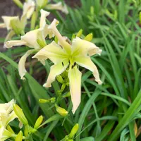 Shoot the Moon thumbnail