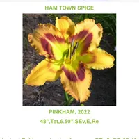 Ham Town Spice catalog image