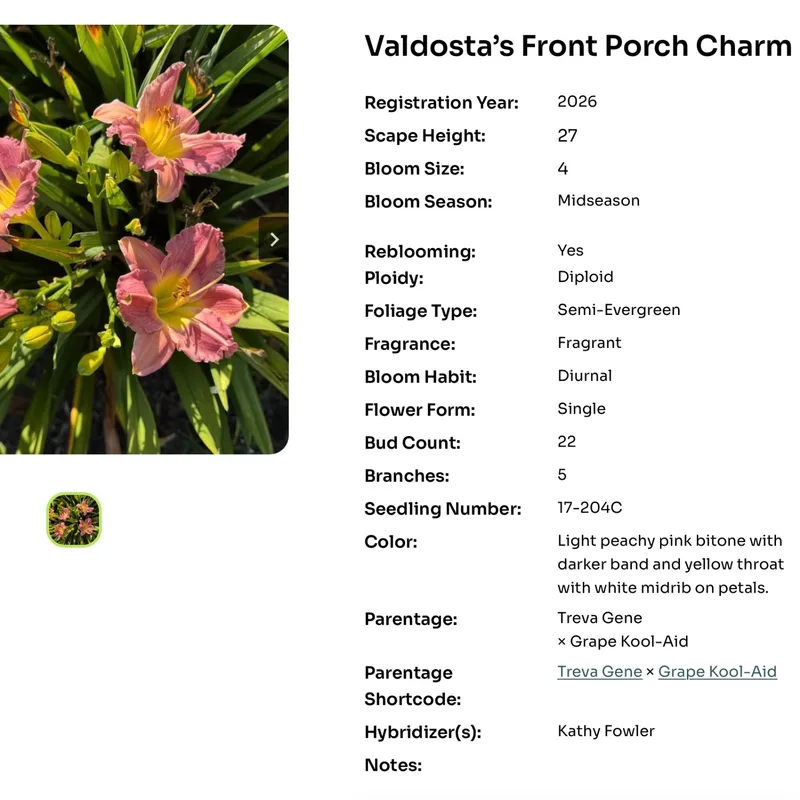 Valdosta’s Front Porch Charm Photo