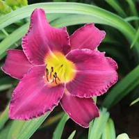 Georgette Belden thumbnail