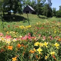 Haley_Springs_Farm thumbnail