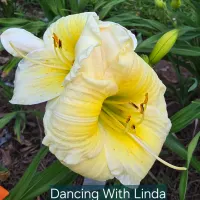 Dancing with Linda thumbnail
