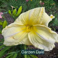 Garden Dale thumbnail