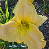 Garden Dale thumbnail