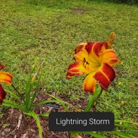 Lightning Storm thumbnail