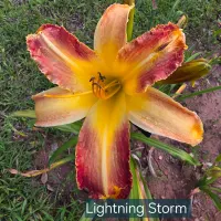 Lightning Storm thumbnail