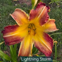 Lightning Storm thumbnail