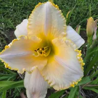 My Friend Joyce Coats thumbnail