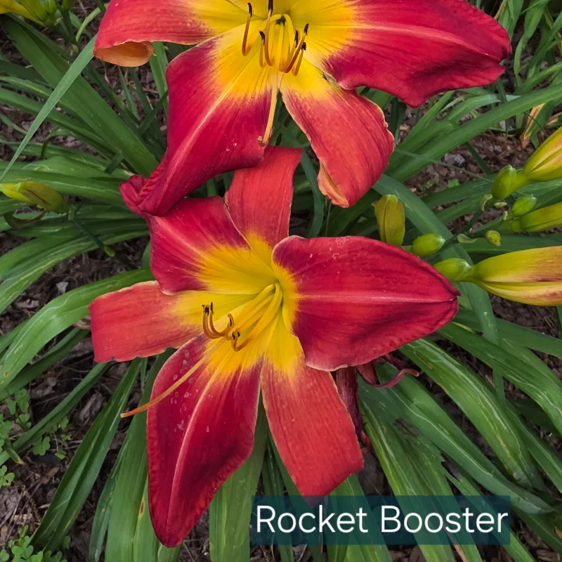 Rocket Booster