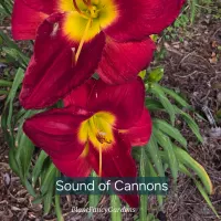 Sound of Cannons thumbnail