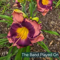 The Band Played On thumbnail