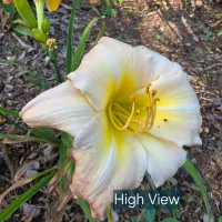 High View thumbnail