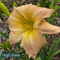 High View thumbnail