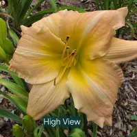 High View thumbnail