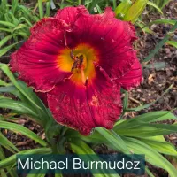 Michael Burmudez thumbnail