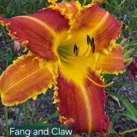 Fang and Claw thumbnail