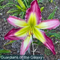 Guardians of the Galaxy thumbnail