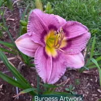 Burgess Artwork catalog image