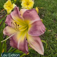 Lou Eidson thumbnail