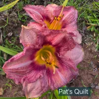 Pat's Quilt thumbnail
