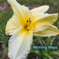 Winning Ways thumbnail