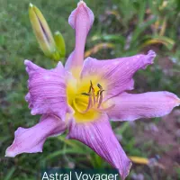 Astral Voyager thumbnail