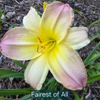 Fairest of All thumbnail