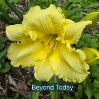 Beyond Today thumbnail