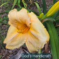 God's Handicraft thumbnail