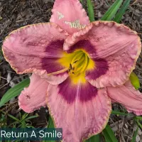 Return a Smile thumbnail