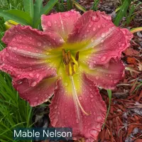 Mable Nelson thumbnail