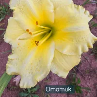Omomuki thumbnail